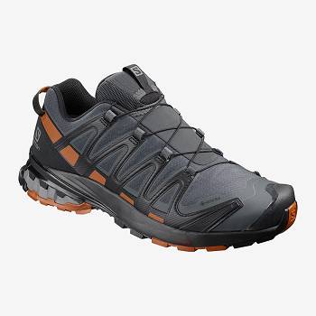 Salomon XA PRO 3D V8 GTX - Tmavo Siva Zimne Topanky Panske, S0033SK